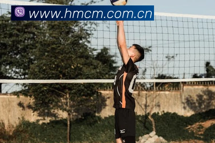 半岛综合官网平台生态图