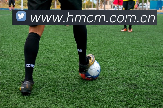 半岛综合官网全站App